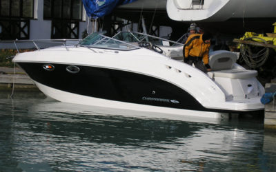 CHAPARRAL SIGNATURE 250 CRUISER motoros kishajó