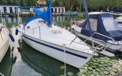 Dixie 25