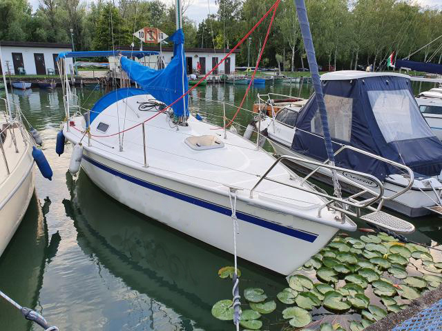 Dixie 25