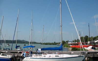Dixie35